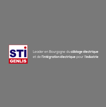 Logo - STI GENLIS